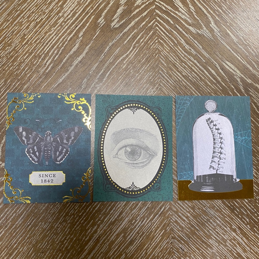 Curious Trio art prints 🌙
